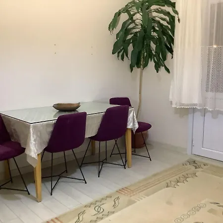 Apartment Garden House