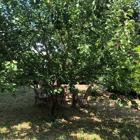 Garden House Apartment *